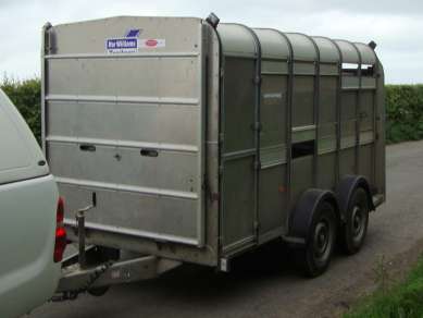 IFOR WILLIAMS12ftCATTLE TRAILER                                 